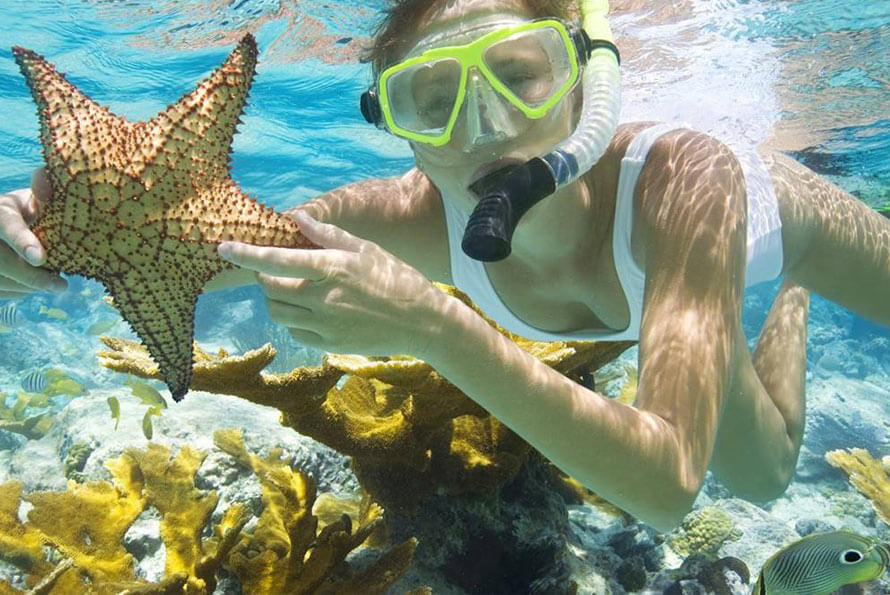 Du khách được trải nghiệm loại hình lặn ngắm san hô tại Phú Quốc (Ảnh: Internet)