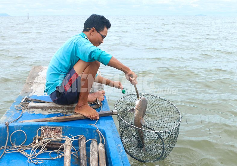 Thợ câu kiều Nguyễn Văn Khởi gỡ cá mắc câu.