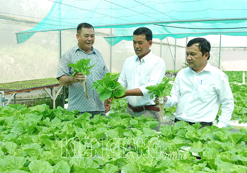 Anh Trần Thanh Vũ (giữa) giới thiệu rau sạch cho các cựu chiến binh xã Dương Tơ. (Ảnh: Báo Kiên Giang Online)