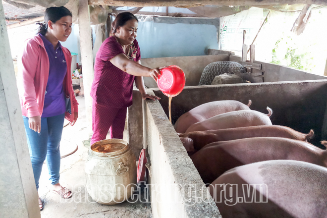 Nhờ được hỗ trợ vốn, nhiều hội viên phụ nữ Khmer có điều kiện phát triển kinh tế gia đình. Ảnh: CHANH THA