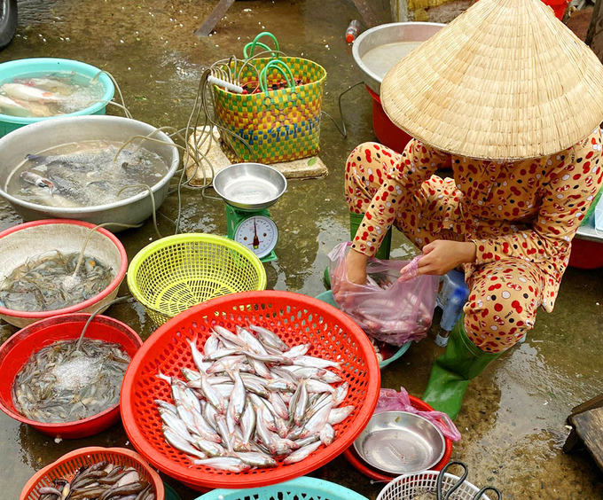 Cá sát sông được bày bán tại chợ