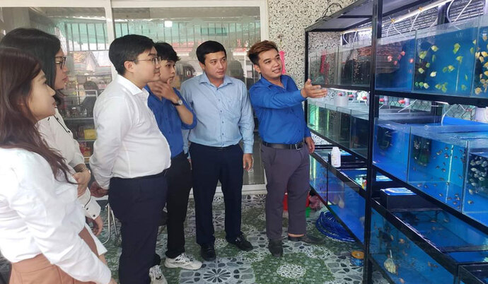 Khu trưng bày sản phẩm của Lê Hiếu Guppy Farm