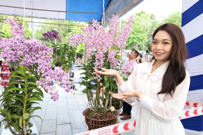 Check-in cùng những giò lan quyến rũ