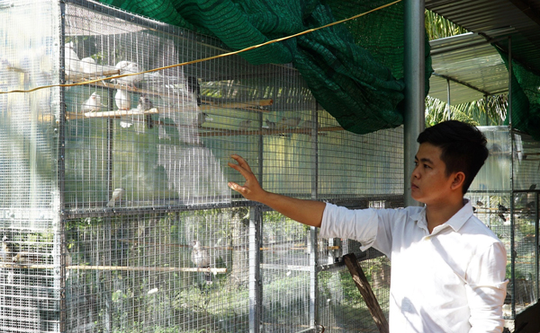 Chủ sở hữu trang trại chim chào mào đột biến lớn nhất miền Tây - anh Trần Hữu Vinh. Ảnh: Nguyễn Thơm (Arttimes).