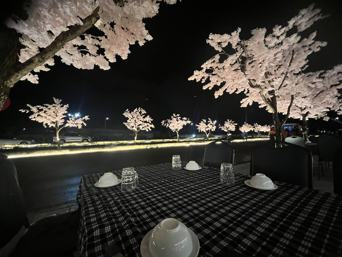 Ngồi tại Nhà hàng Sân Bay và ngắm nhìn cung đường hoa tỏa sáng về đêm.