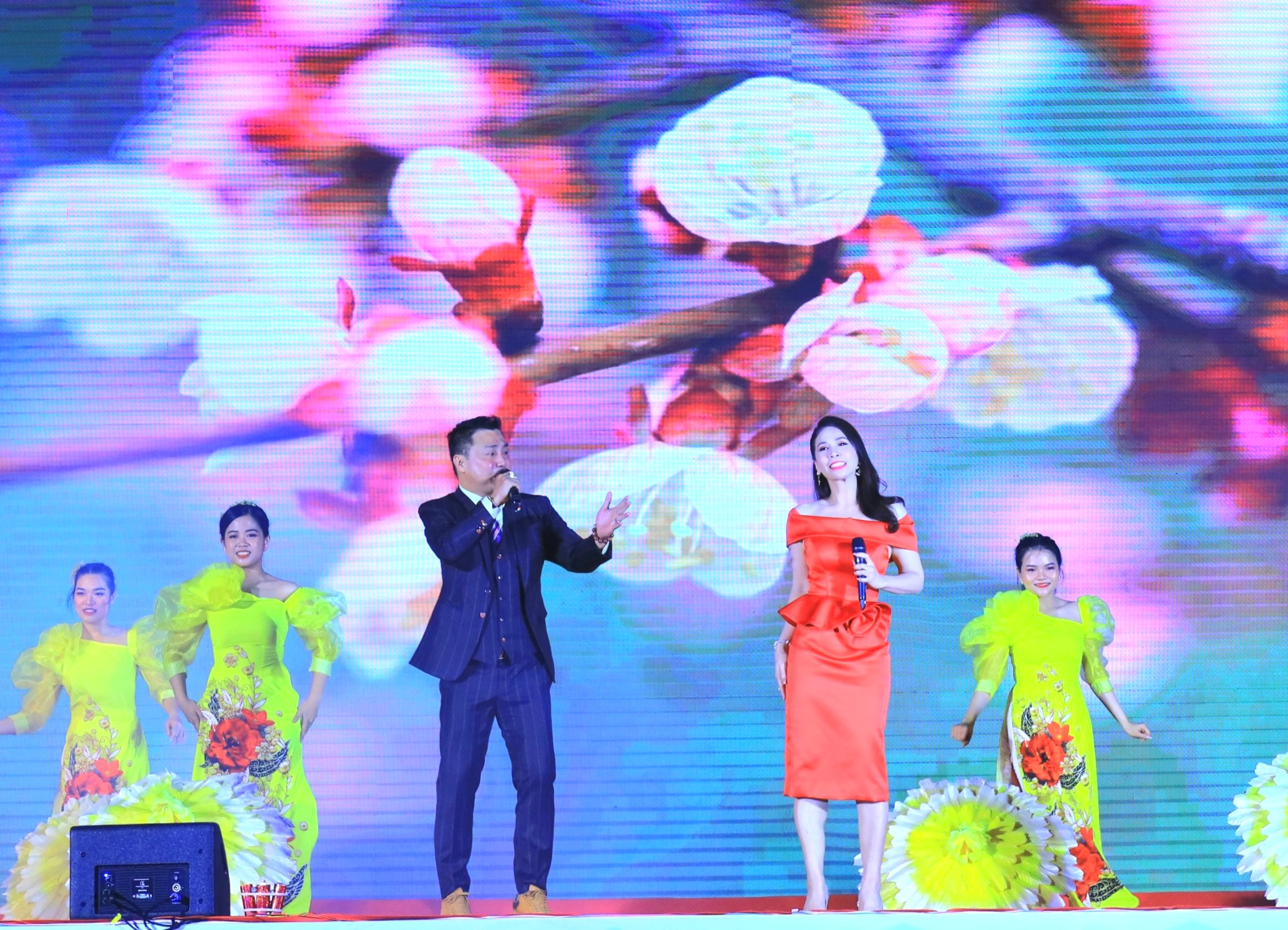 Diễn viên, ca sĩ Lý Hùng - Lý Hương biểu diễn tại lễ khai mạc.