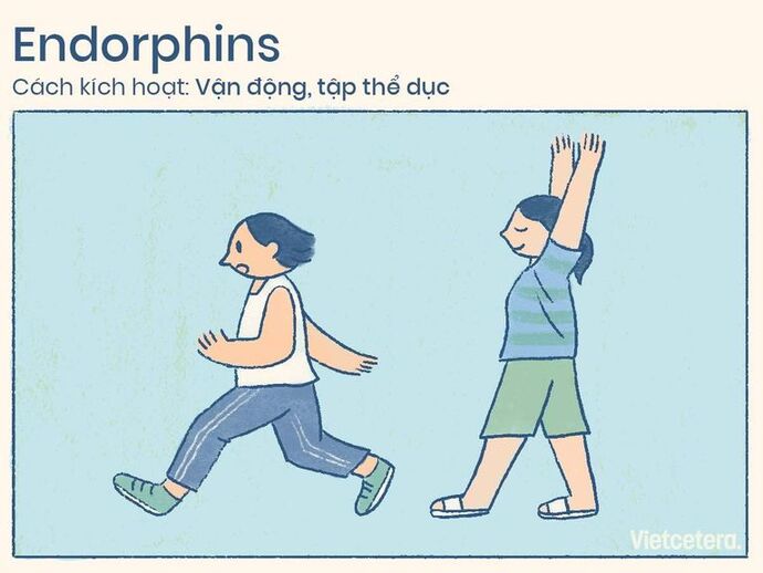 Tập thể dục giúp bạn tặng lượng Endorphins trong cơ thể (Ảnh minh hoạ)