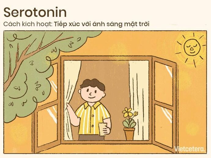 Serotonin tăng khi bạn tiếp xúc với ánh sáng mặt trời (Ảnh minh hoạ)