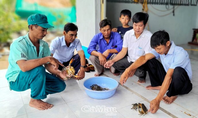 Ông Bộ (bìa phải) chia sẻ hiệu quả mô hình nuôi cua cho bà con.