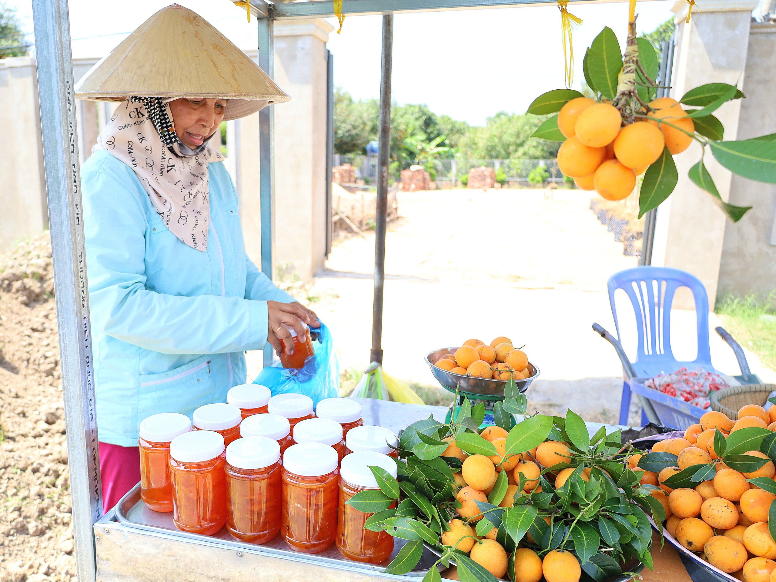 Ngoài ăn trái Thanh trà còn được chế biến làm mứt Thanh trà.