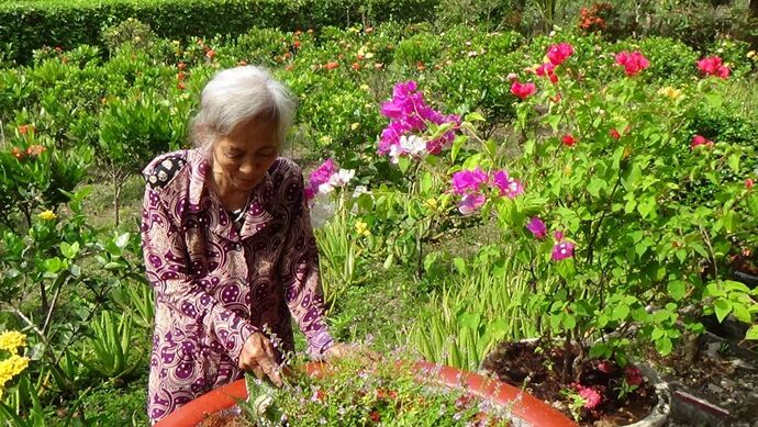 Thời gian rảnh, bác Dung tích cực chăn nuôi, trồng trọt, trồng hoa, cây cảnh, hàng rào cây xanh để xây dựng nông thôn mới.