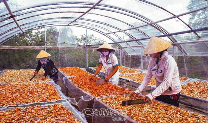 Làm tôm khô theo quy trình truyền thống, tôm được phơi dưới nắng tốt, trong nhà kính để đảm bảo vệ sinh an toàn thực phẩm.