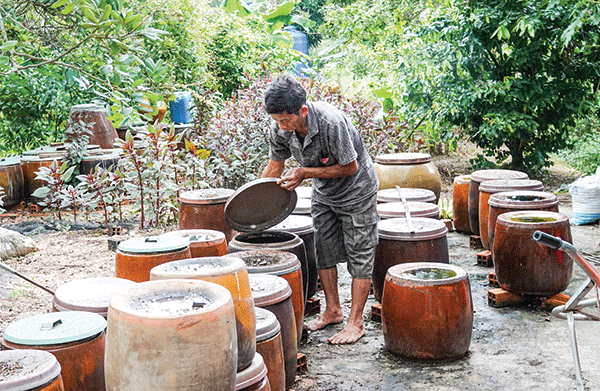 Người dân Cồn Sơn (quận Bình Thủy) làm nước mắm cá đồng. Ảnh: DUY KHÔI