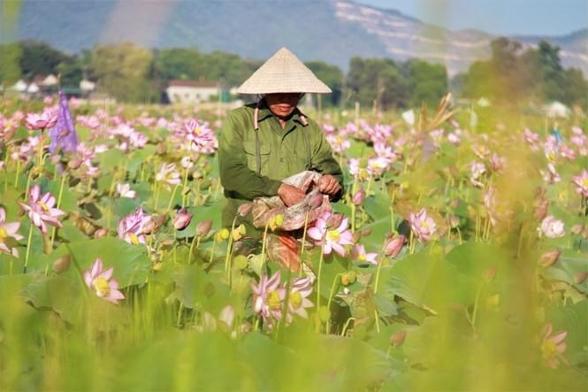 Cha đã vất vả để làm điểm tựa cho con tiến về phía trước