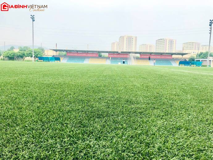Mặt cỏ nhân tạo, xanh mướt hứa hẹn các trận đấu diễn ra sôi động, hấp dẫn, kịch tính.