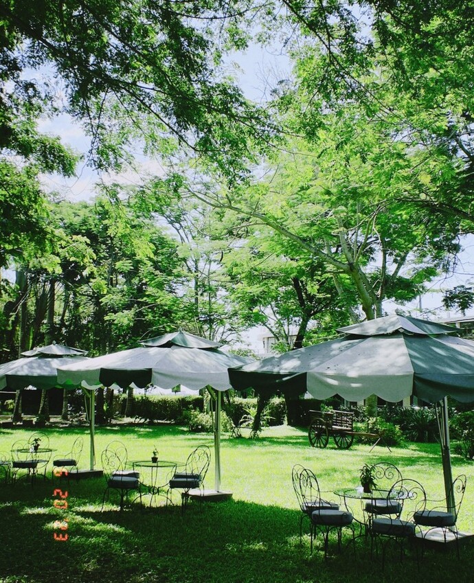 Lối mòn nhỏ bước vào khu vườn Victoria Café mang đến cảm giác thư thái và diệu kì như được lạc vào xứ xở cây xanh mát giữa lòng đô thị nhộn nhịp.