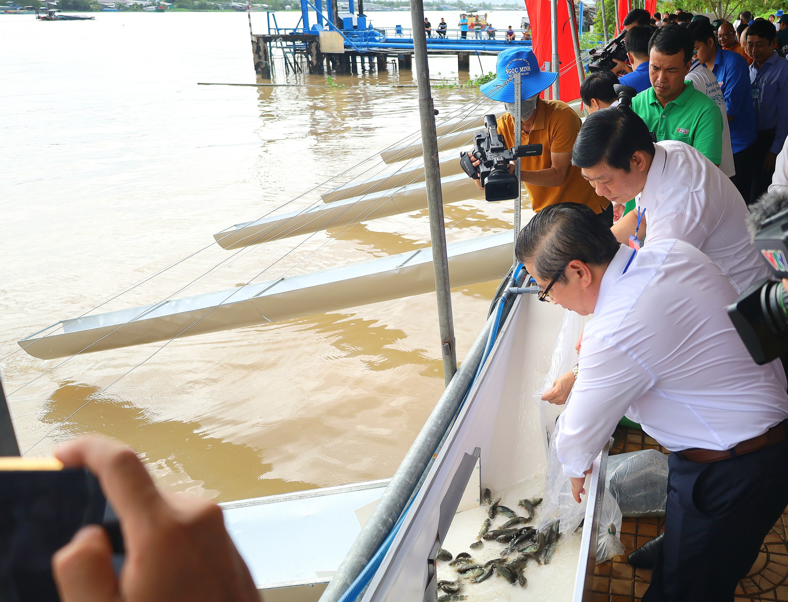 Ông Trần Việt Trường - Phó Bí thư Thành ủy, Chủ tịch UBND TP. Cần Thơ thả cá xuống sông Hậu qua màng trượt.