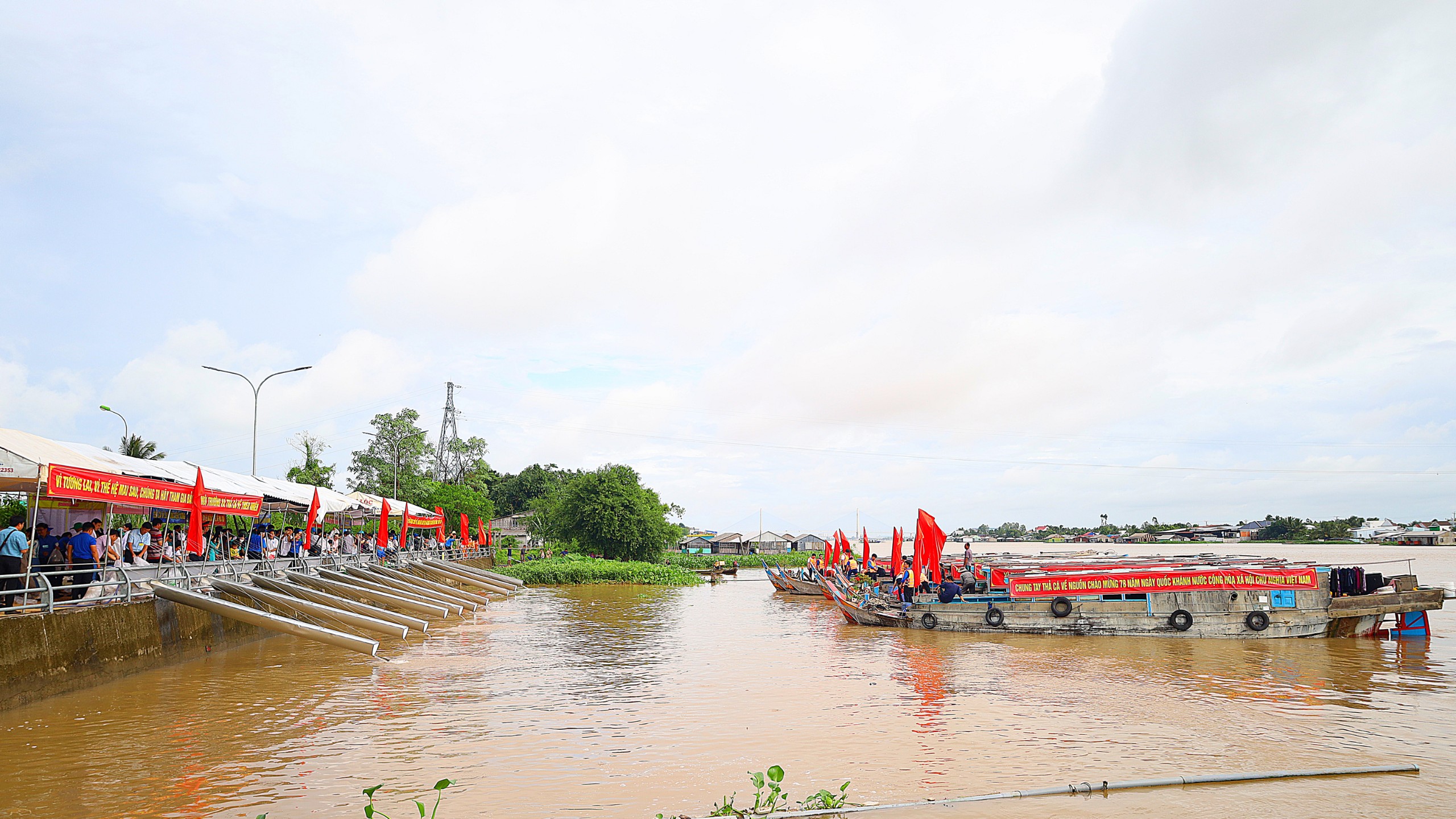 Hơn 1 triệu con cá giống được thả trên sông Hậu tái tạo nguồn lợi thủy sản liên tỉnh An Giang – Cần Thơ – Đồng Tháp năm 2023 .