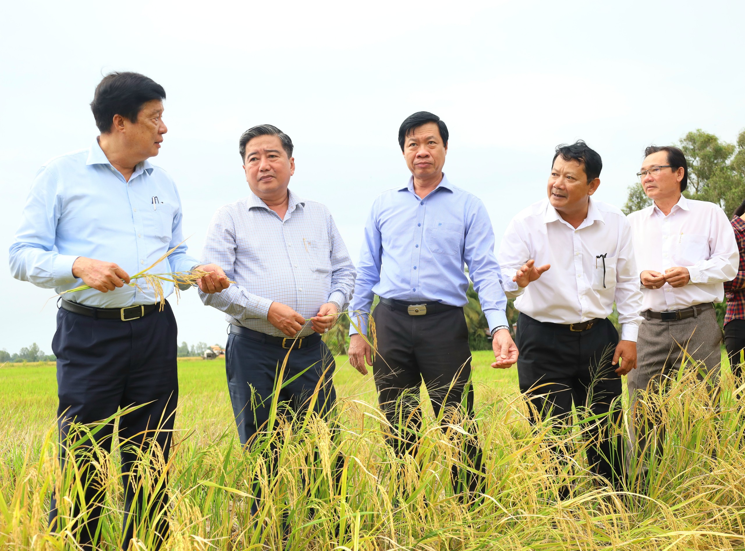 Ông Phạm Văn Hiểu - Phó Bí thư Thường trực Thành ủy, Chủ tịch HÐND TP. Cần Thơ nghe báo cáo nhanh về tình hình sản xuất nông nghiệp trên địa bàn huyện Cờ Đỏ.