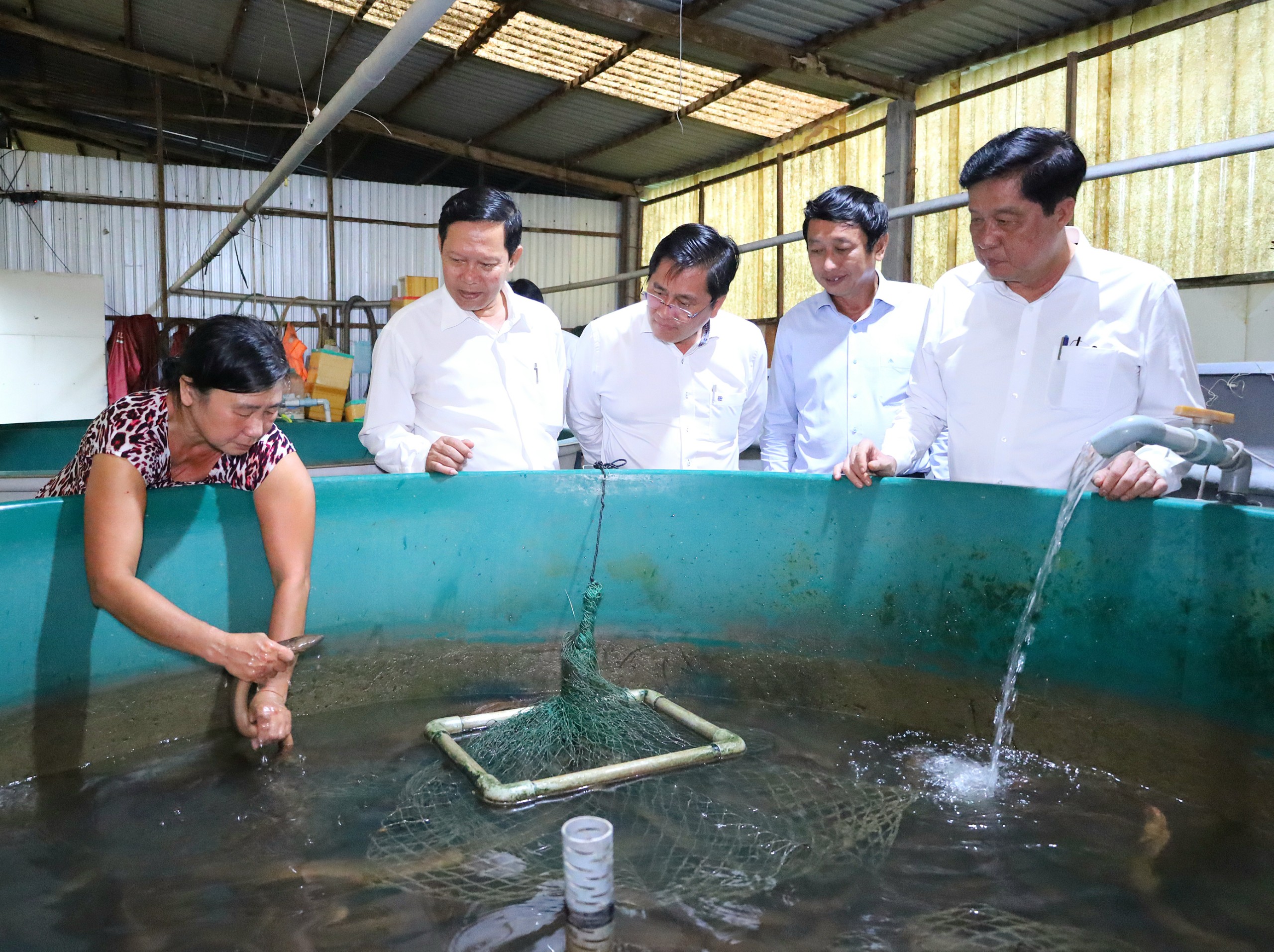 Ông Phạm Văn Hiểu - Phó Bí thư thường trực Thành ủy, Chủ tịch HĐND TP. Cần Thơ thăm hộ kinh doanh Hoàng Oanh, phường Thới Hòa, quận Ô Môn chuyên nuôi lươn, chạch lấu và nhiều loại cá trên diện tích 1 ha.