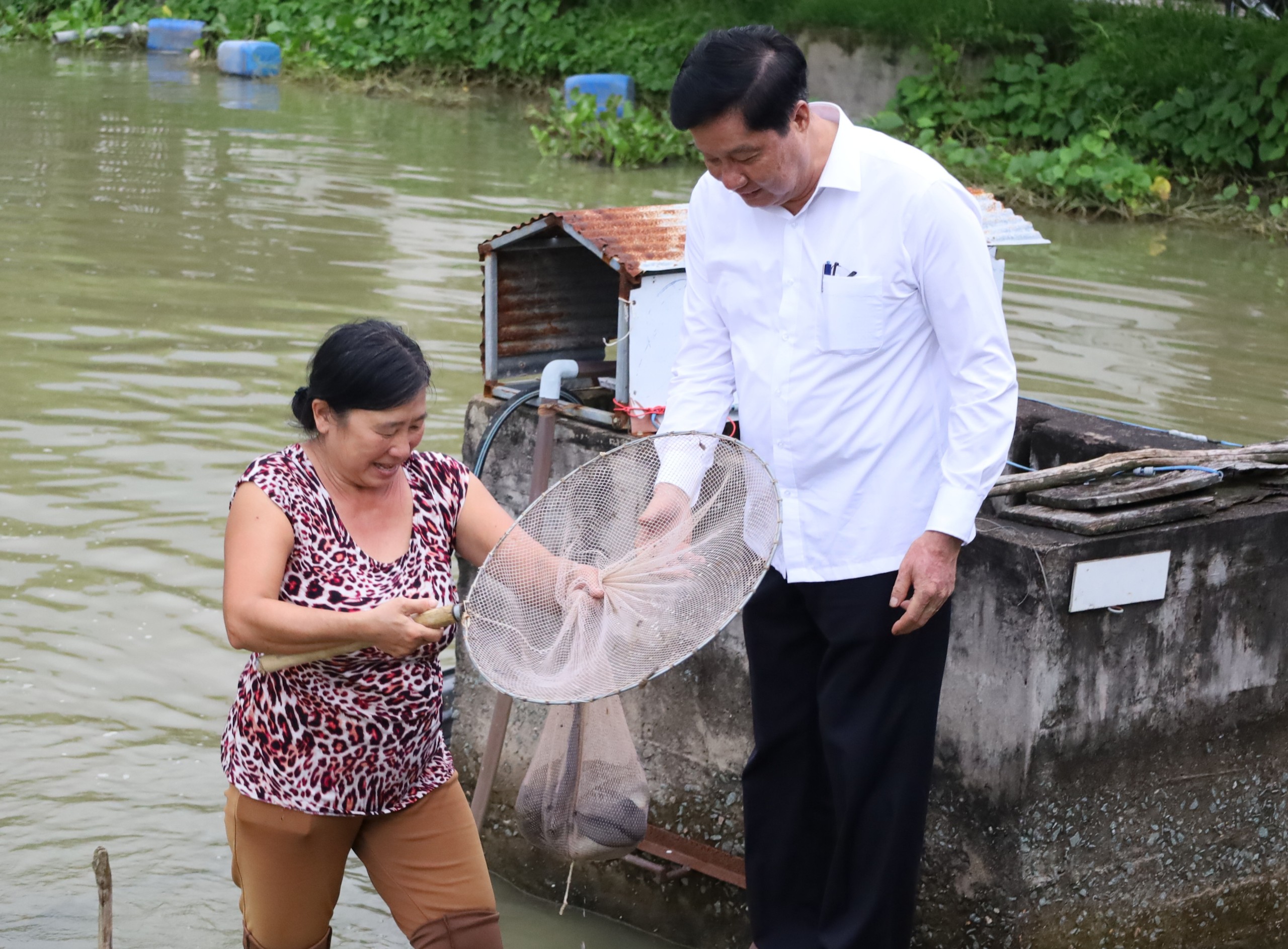 Ông Phạm Văn Hiểu - Phó Bí thư thường trực Thành ủy, Chủ tịch HĐND TP. Cần Thơ tham quan mô hình nuôi cá Chạch lấu.