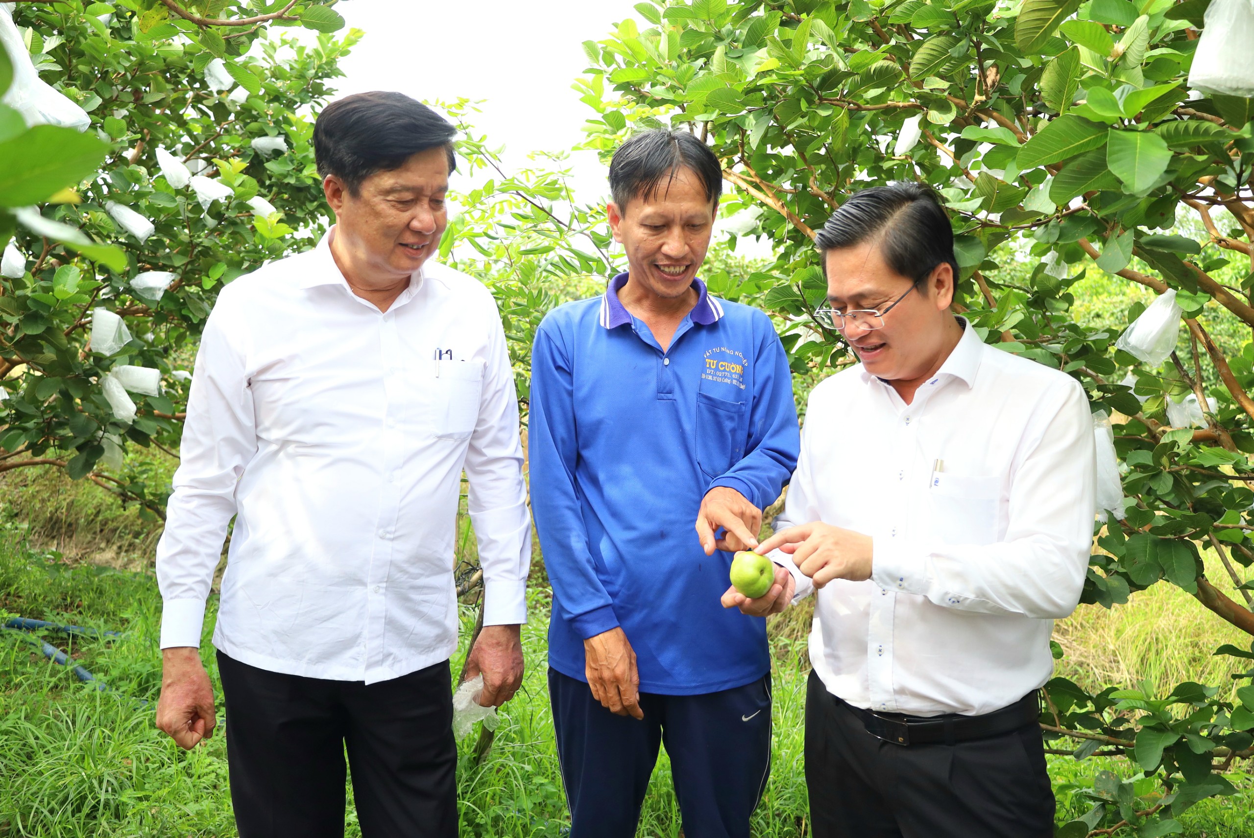 Ông Phạm Văn Hiểu - Phó Bí thư thường trực Thành ủy, Chủ tịch HĐND TP. Cần Thơ thăm Hợp tác xã nông nghiệp Thới Thạnh.