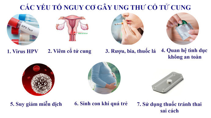 Các yếu tố có nguy cơ gây ung thư cổ tử cung. Nguồn: Internet.