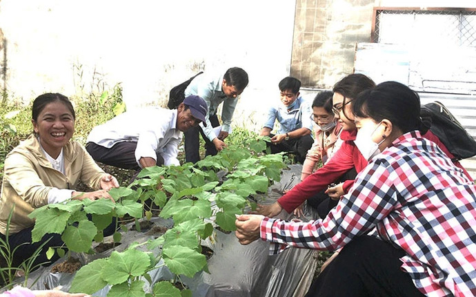 Học viên lớp trồng rau màu phường Trà Nóc, quận Bình Thủy trong giờ thực hành.