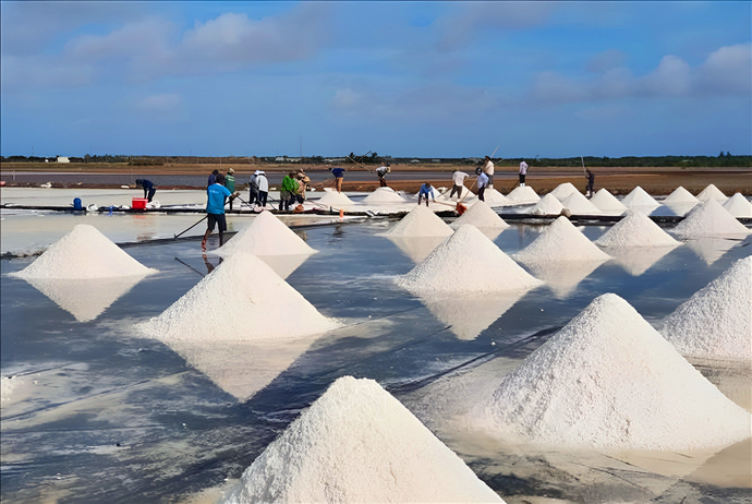 Bạc Liêu là một trong những địa phương có nhiều điều kiện thuận lợi để phát triển, nâng cao giá trị sản xuất muối. (Ảnh minh họa).