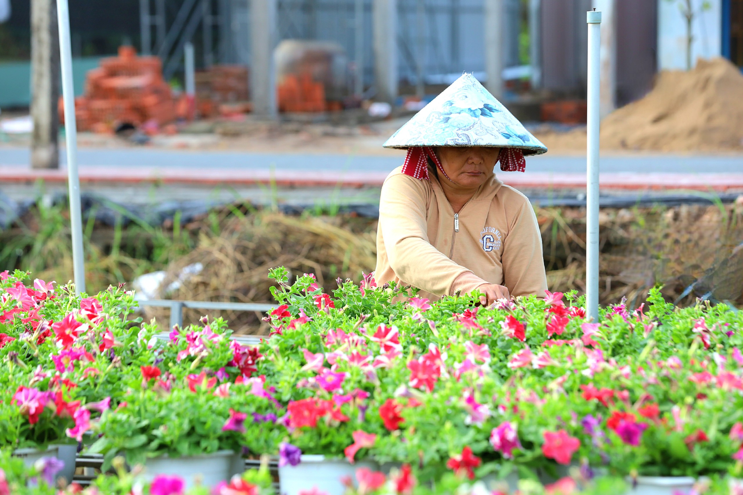 Festival nhằm nâng cao chuỗi giá trị ngành hàng hoa kiểng kết hợp với phát triển du lịch, tạo điều kiện để mọi người dân đều được thụ hưởng lợi ích từ làng hoa, qua đó góp phần quảng bá hình ảnh làng hoa Sa Đéc