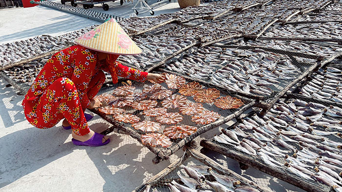 Nghề làm khô cá biển thị trấn Cái Đôi Vàm, huyện Phú Tân giúp tạo công ăn, việc làm cho người dân địa phương.
