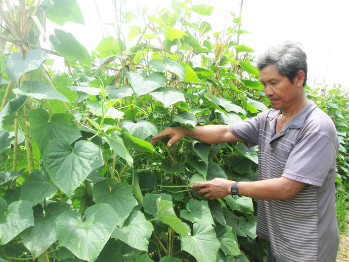 Bà con đồng bào dân tộc khmer ấp 6 xã Khánh Hoà ngày càng chí thú làm ăn, từng bước thoát nghèo và vươn lên khá giàu.