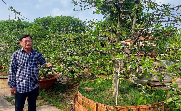 Lão nông Hứa Văn Lến tự hào với vườn cây của mình.