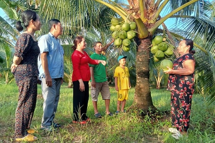 Ban chủ tọa họp báo