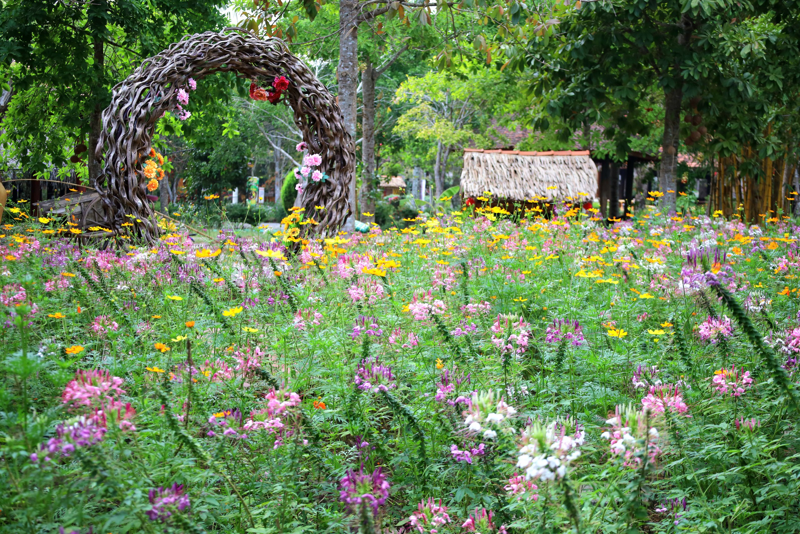 Nhiều khu vực tại Làng du lịch Mỹ Khánh được trồng hoa nhiều màu sắc để khách tham quan check in.