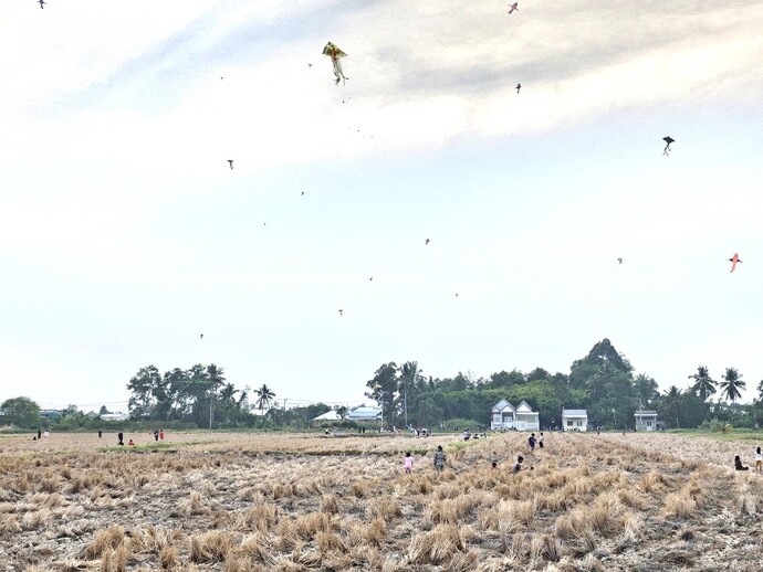 Tại cánh đồng ở thị trấn Thới Bình, huyện Thới Bình có hàng trăm con diều đang no gió, bay lượn như bức tranh nghệ thuật đầy sắc màu giữa không gian bình yên.