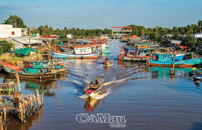 Ngư dân Sào Lưới, xã Khánh Bình Tây Bắc, huyện Trần Văn Thời, ra khơi giăng lưới cá đù.