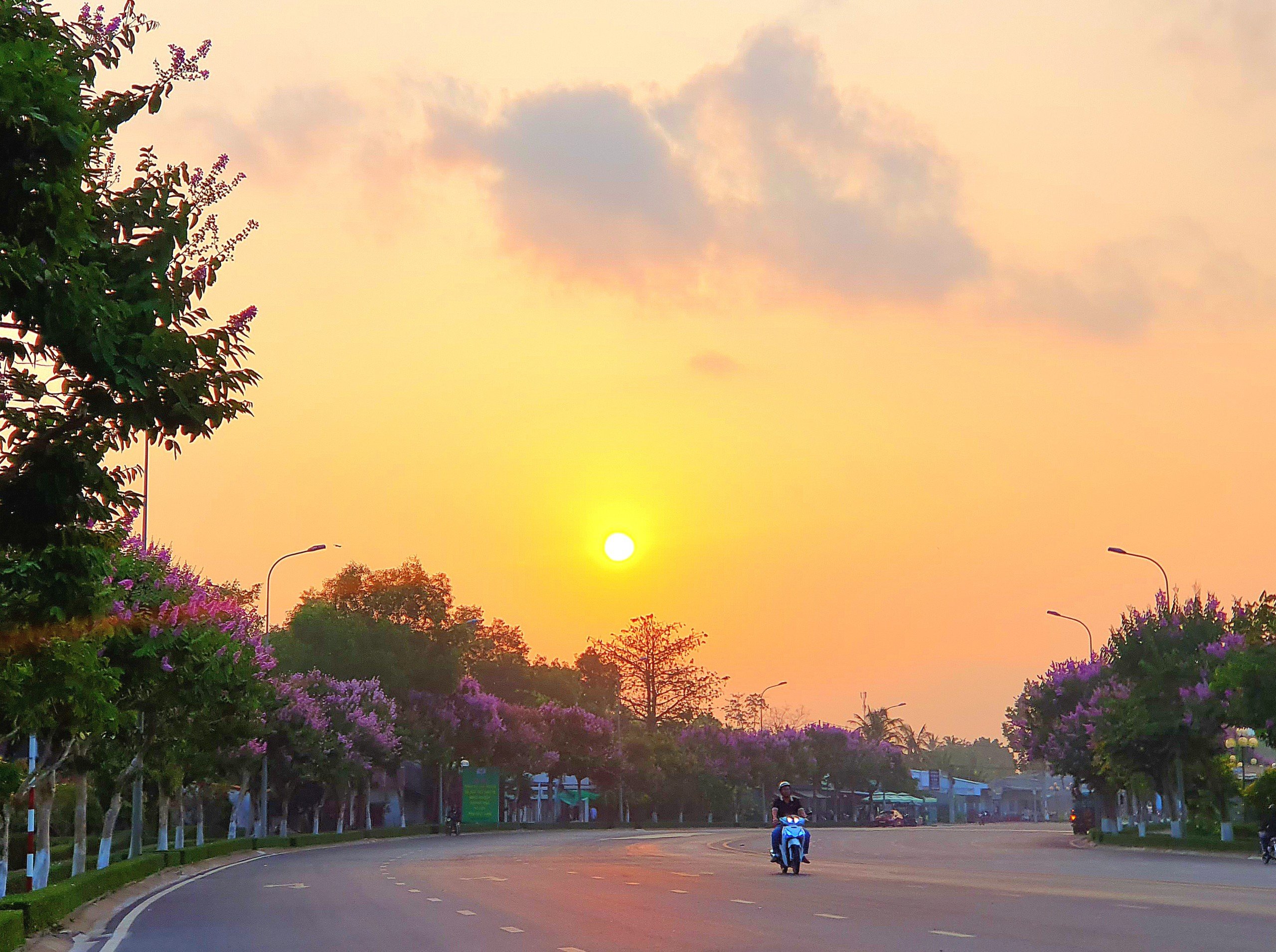 Thời điểm bình minh ló dạng làm cho đường Võ Văn Kiệt rực rỡ sắc tím hoa bằng lăng trở nên thơ mộng hơn.