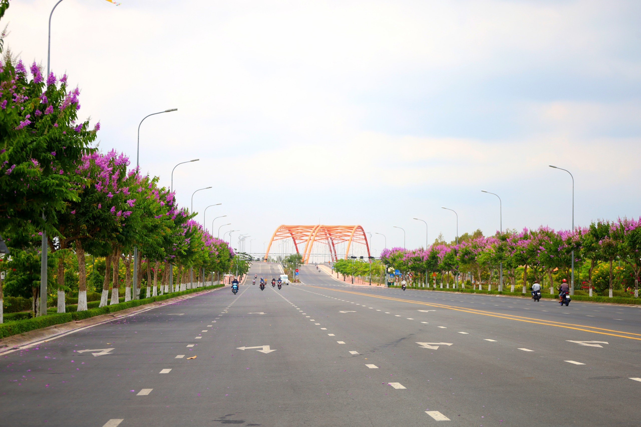 Con đường Võ Văn Kiệt được trồng hàng trăm cây bằng lăng có chiều dài khoảng 2 km đã thu hút ánh nhìn của nhiều người qua lại.