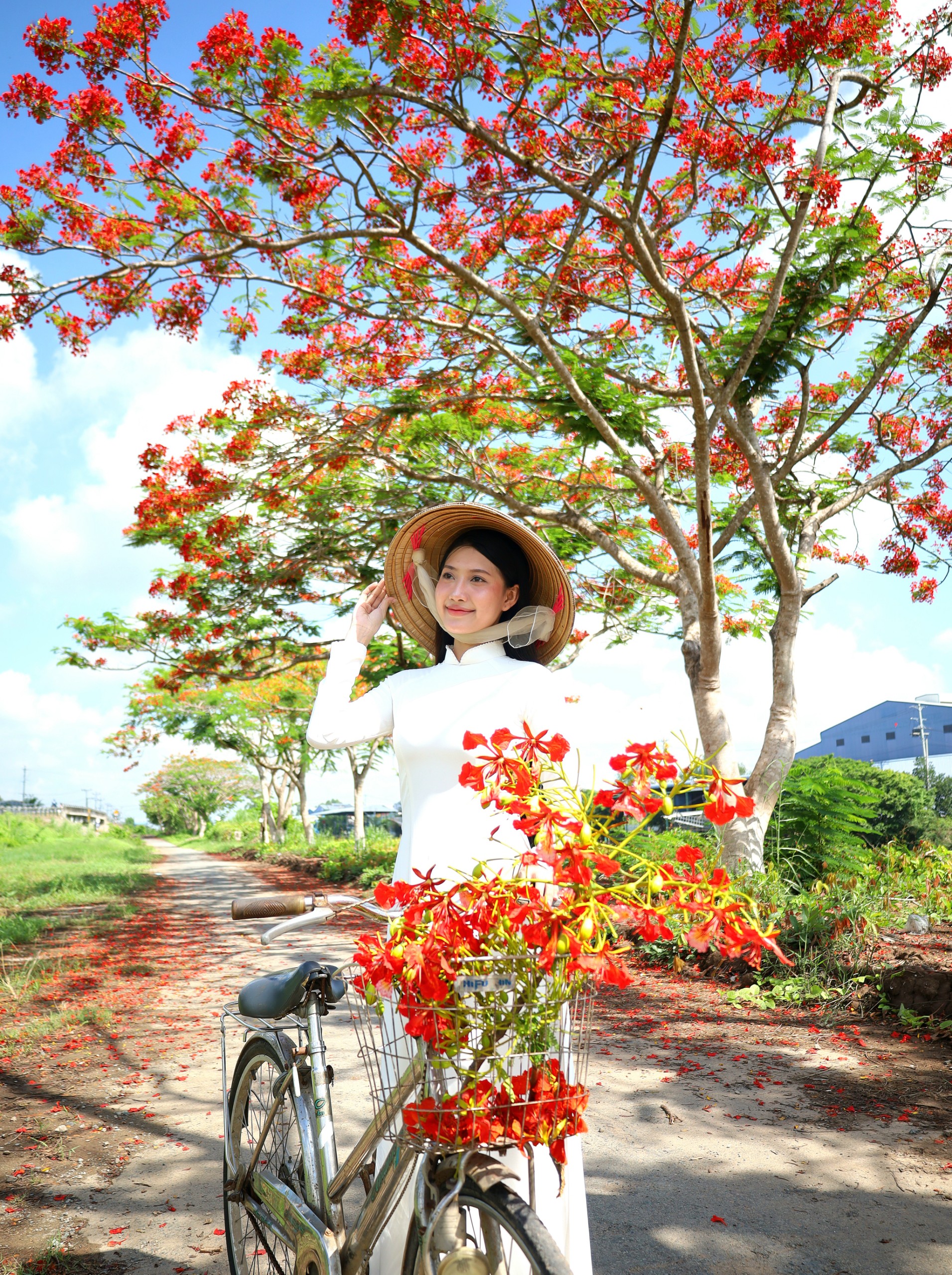 Phụ kiện thường kèm áo dài là xe đạp, trong các bộ ảnh tái hiện hoặc ghi lại dấu ấn những ngày còn ngồi trên ghế nhà trường.