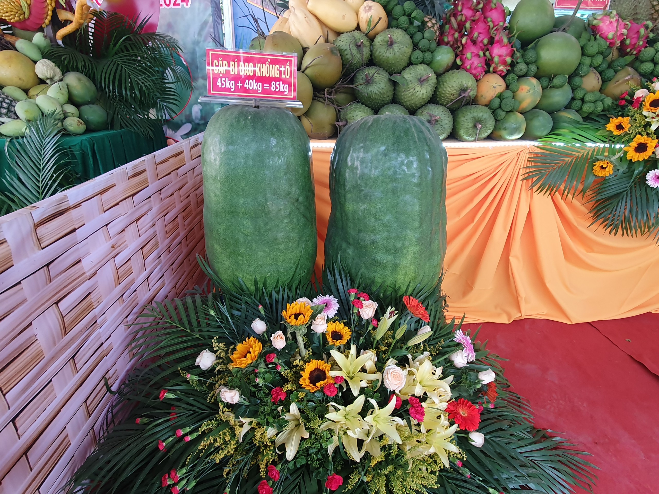 Cặp Bí đao khổng lồ nặng 85kg trưng bày tại khu vực rau, củ, quả độc lạ.