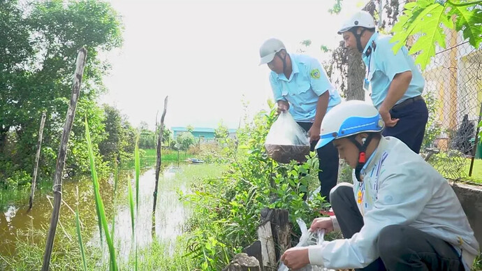 Cơ quan chức năng thả cá non về môi trường tự nhiên.