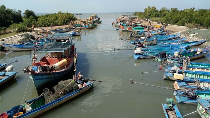 Tàu biển đang hoạt khai thác, mua bán, vận chuyển thủy sản trên địa bàn tỉnh Cà Mau.