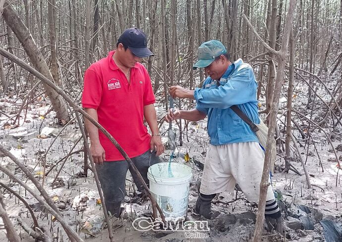 Ông Nguyễn Văn Yên (bìa phải) cùng con trai vào rừng săn cá thòi lòi.