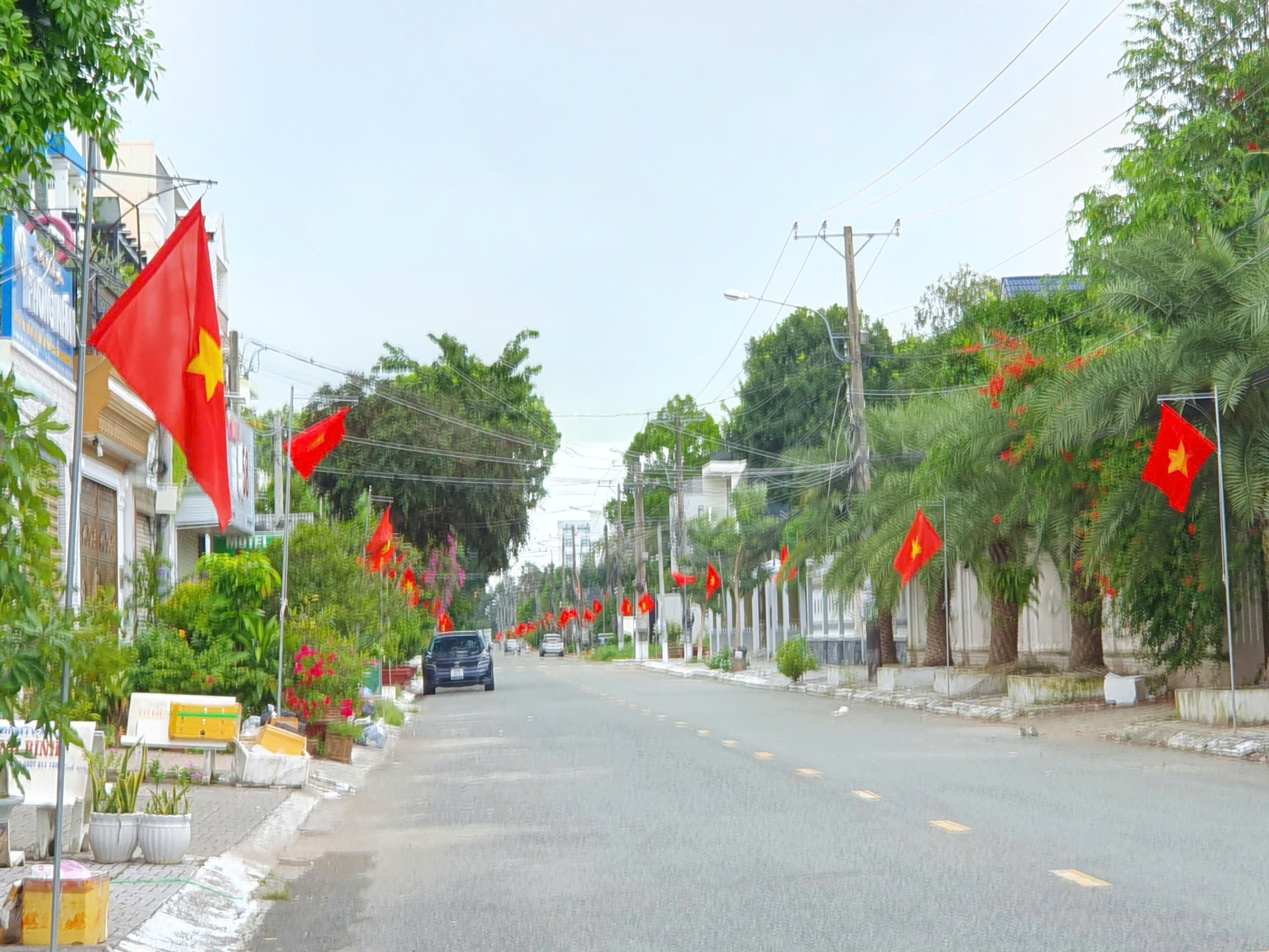 Đường Phạm Công Trứ, phường Cái Khế, quận Ninh Kiều được trang trí cờ rực rỡ.