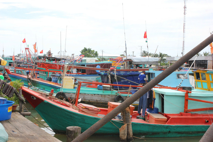 Cà Mau quyết liệt chống khai thác IUU. (Ảnh minh họa)