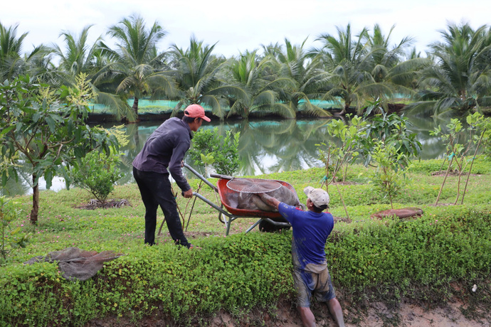 Người dân dùng vợt để bắt rồi để lên xe chở vào nhà.