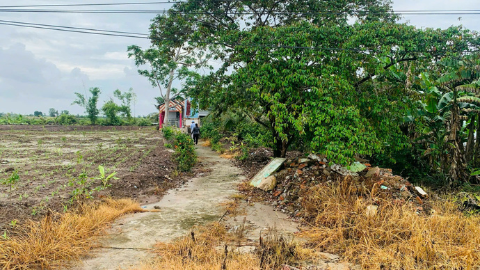 Đường vào di tích “Bia kỷ niệm Bác Hồ với cây Vú sữa miền Nam” được xây dựng 2004 (Ảnh: Tư liệu Bảo tàng tỉnh Cà Mau).