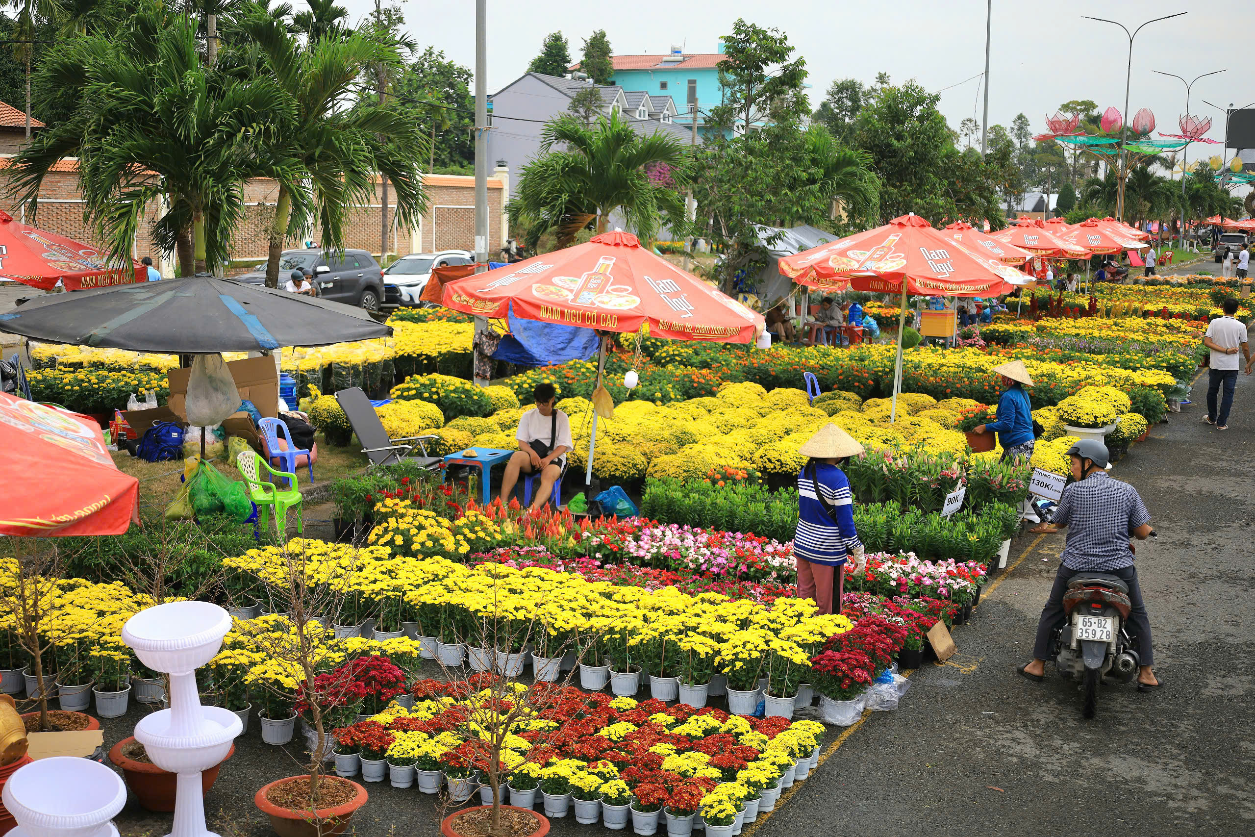 Chợ hoa Xuân Ất Tỵ năm 2025 diễn ra từ ngày từ ngày 17/01 đến 28/01 (nhằm ngày 18/12 đến 29/12 Âm lịch) tại Quảng trường Tây Đô, đường Mai Chí Thọ, khu đô thị 586, phường Phú Thứ, quận Cái Răng, TP Cần Thơ.