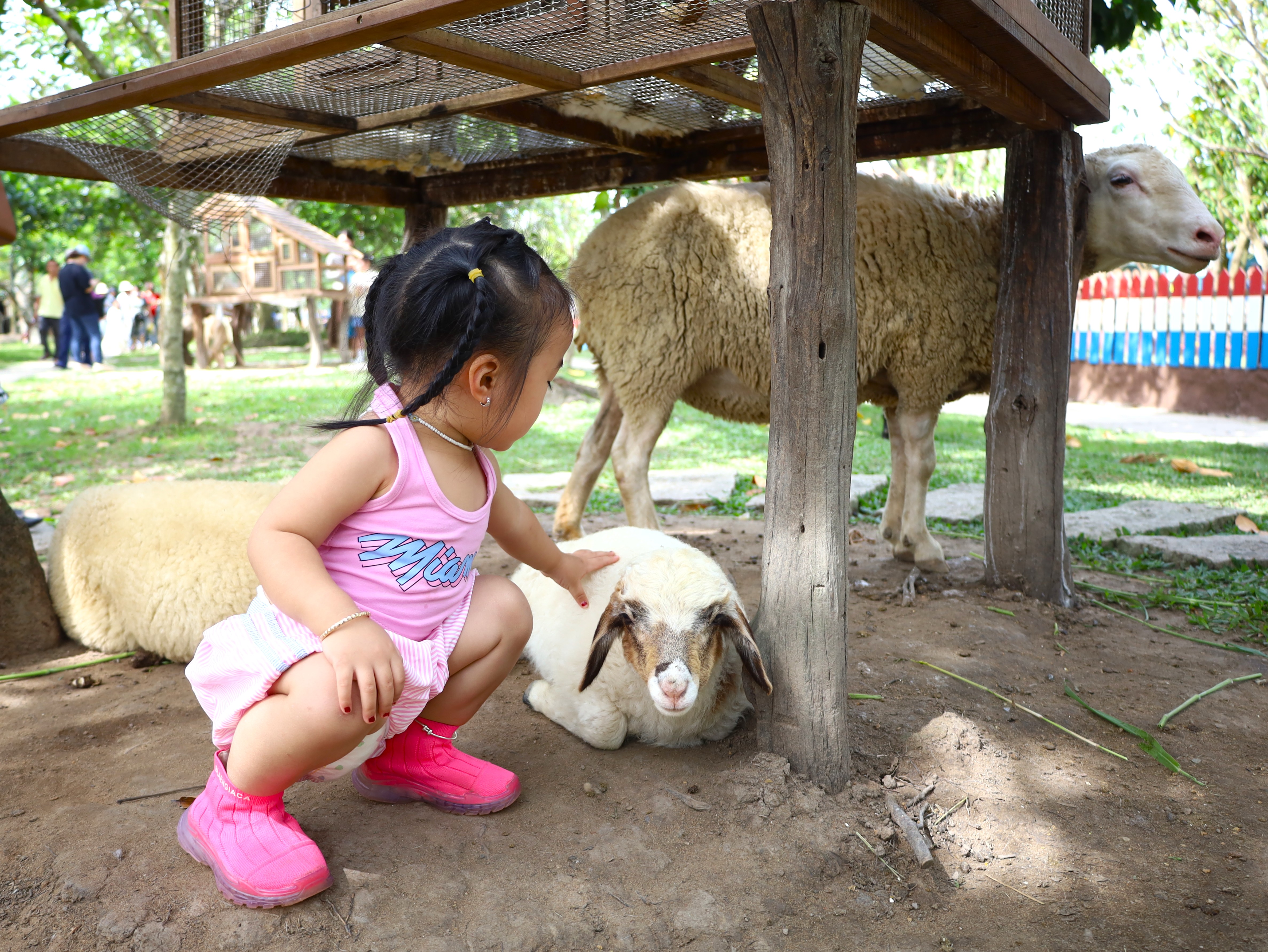 Vườn thú Eco Safari còn có nhiều loại thú được các em nhỏ yêu thích.